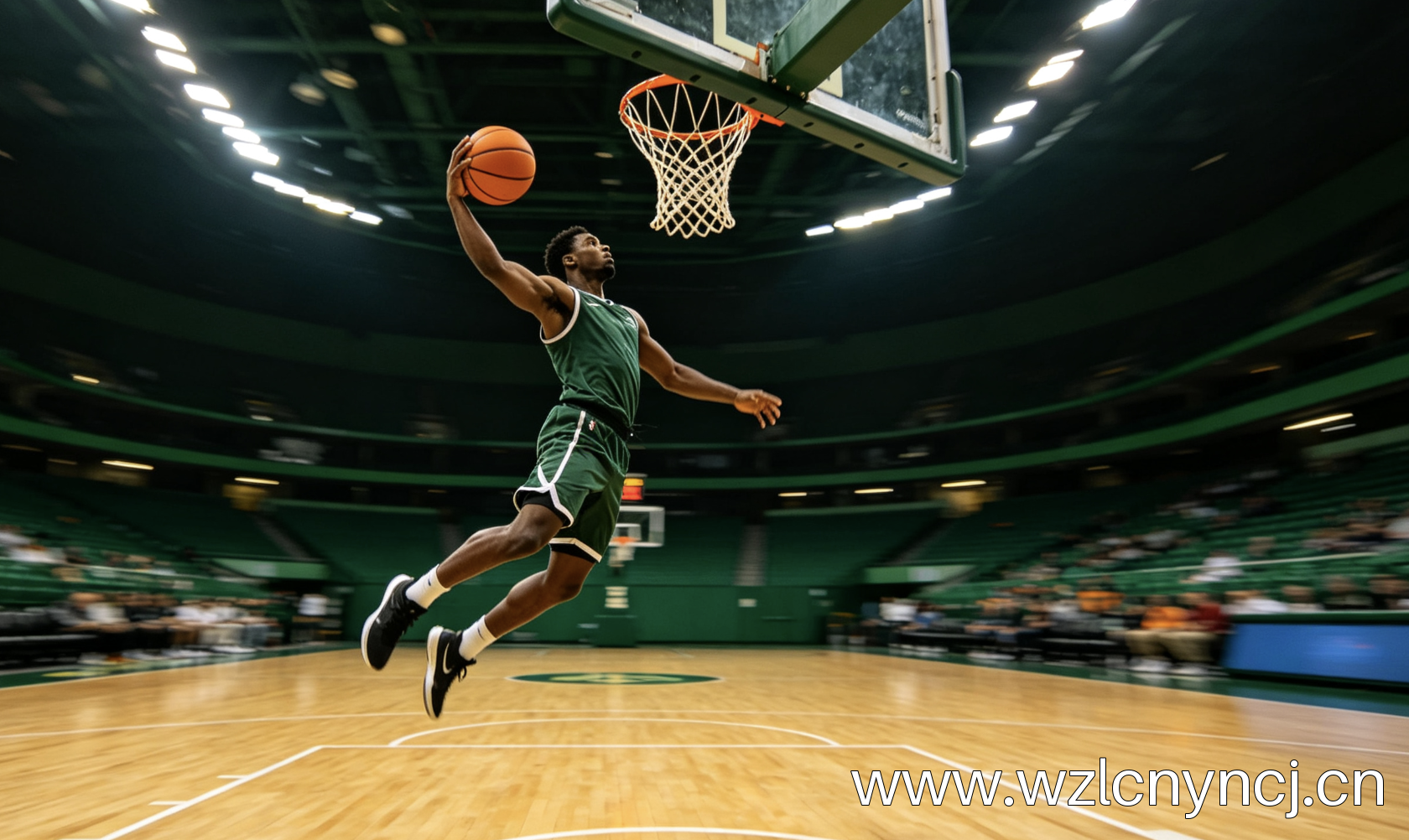NBA十佳球集锦